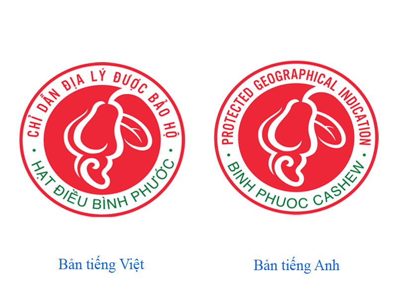 Logo chỉ dẫn địa lý hạt điều Bình Phướcạt điều rang muối.